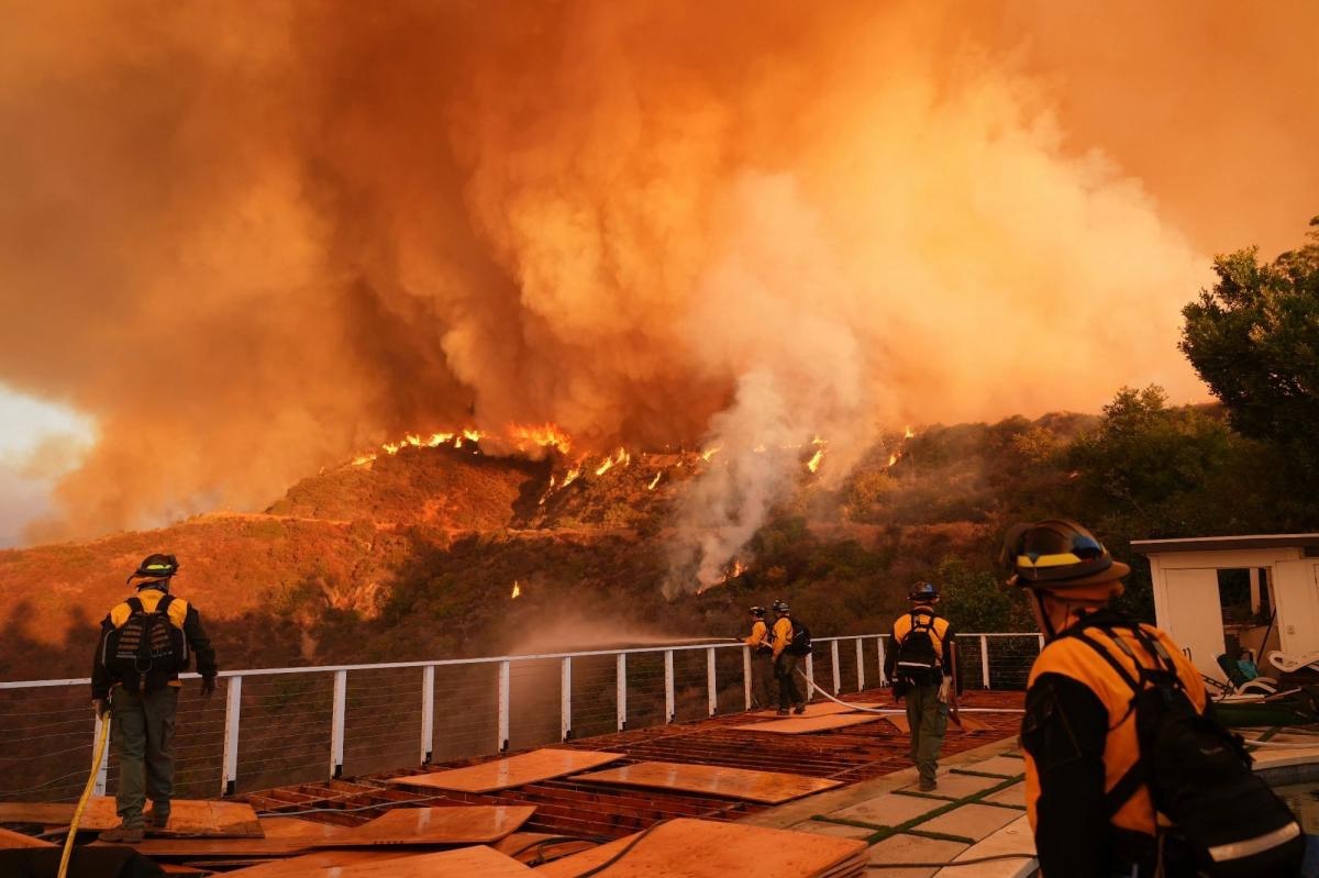 Disaster Response