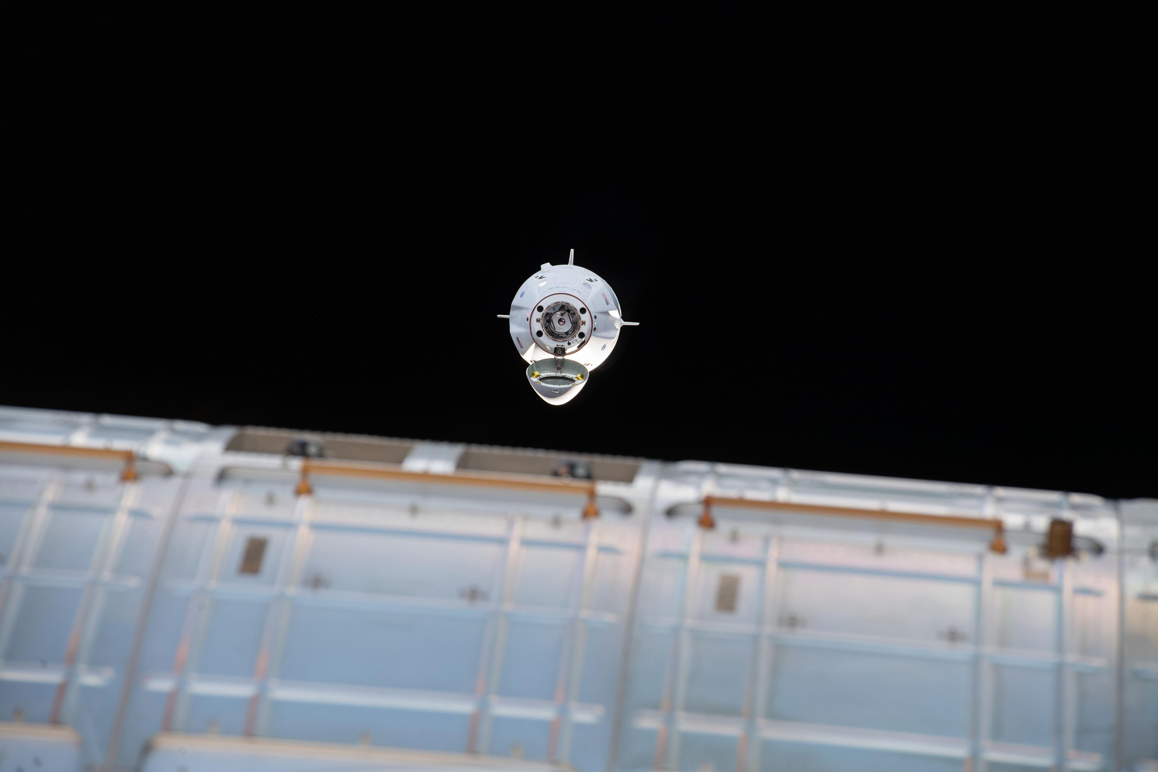 Dragon — view 1
