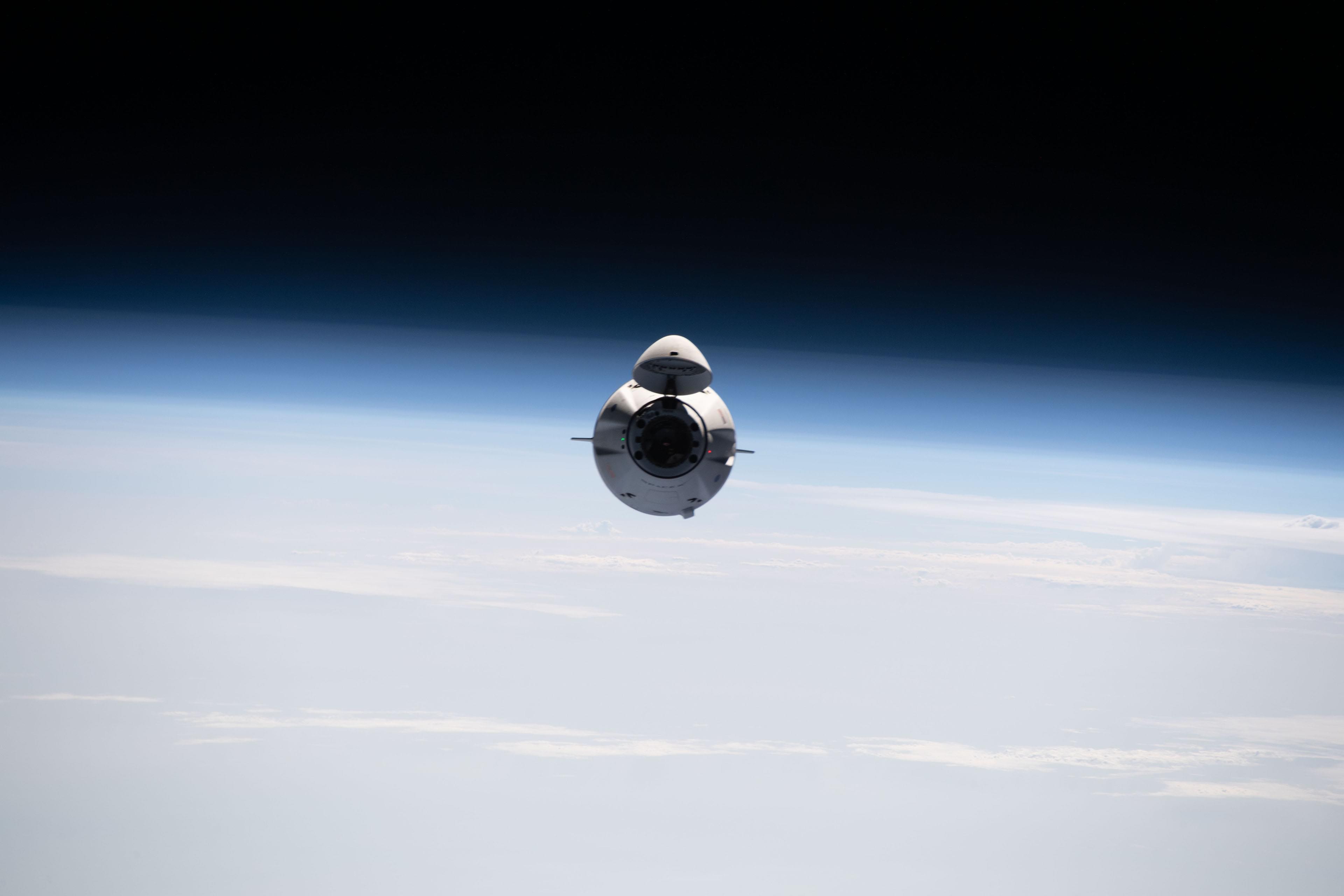 Dragon — view 2