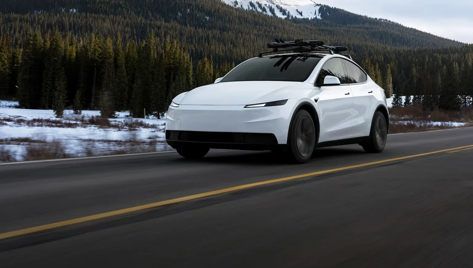 Model Y